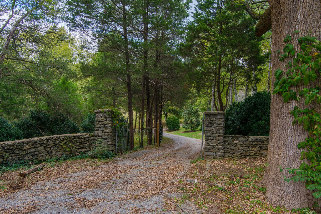 698 Sneed Rd W, Franklin, TN 37069