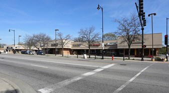 Austin Dempster Shopping Center - Storefront Property