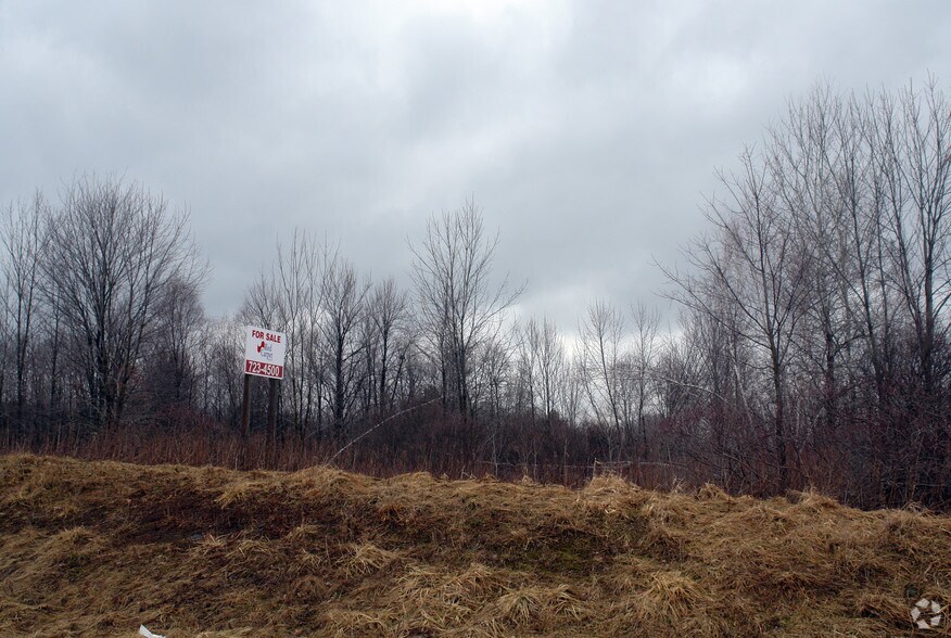 129 Carlin Rd, Conklin, NY for sale - Primary Photo - Image 1 of 1