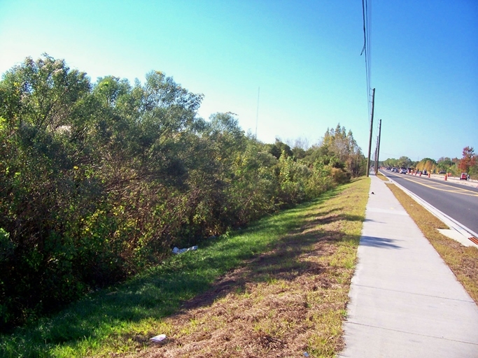 Race Track Rd, Tampa, FL for sale Primary Photo- Image 1 of 1