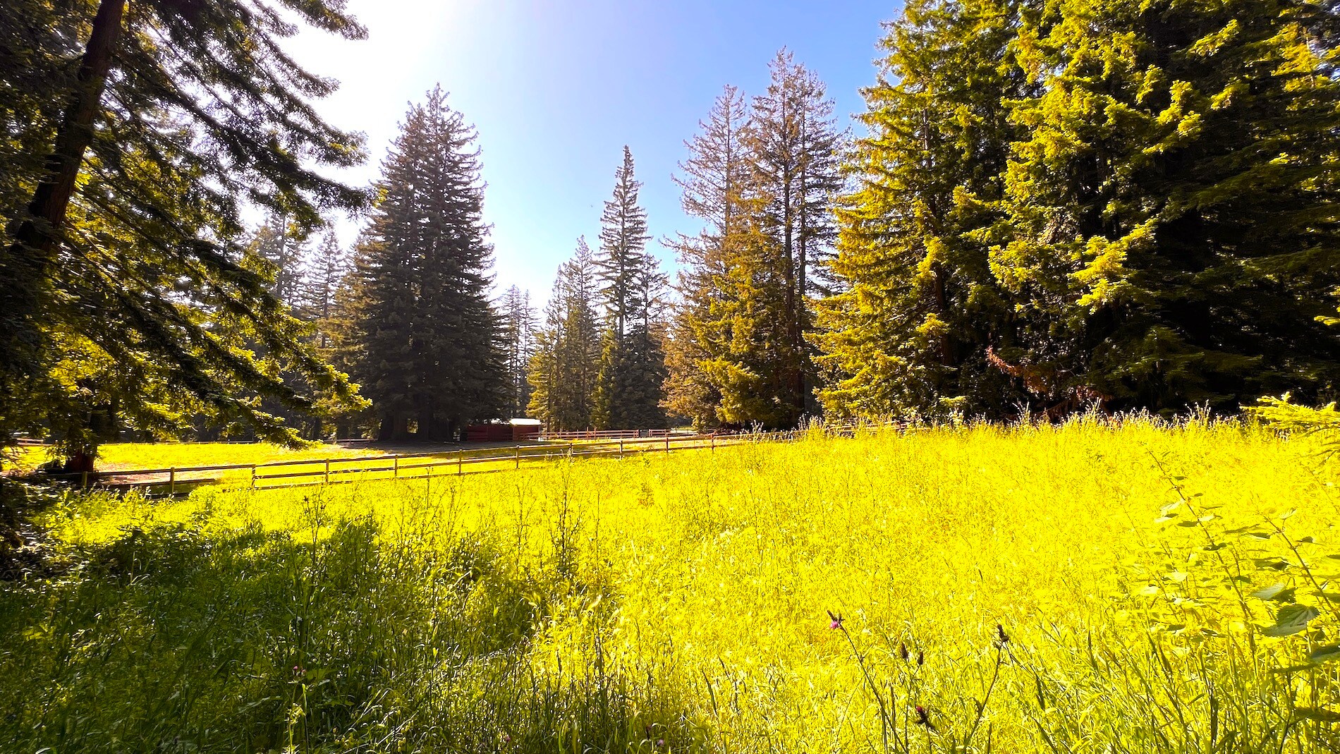 3675 Bonny Doon Rd, Santa Cruz, CA 95060 Bonny Doon Equestrian Park