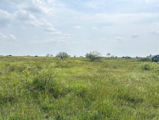More details for TBD County Road 215, Coolidge, TX - Land for Sale