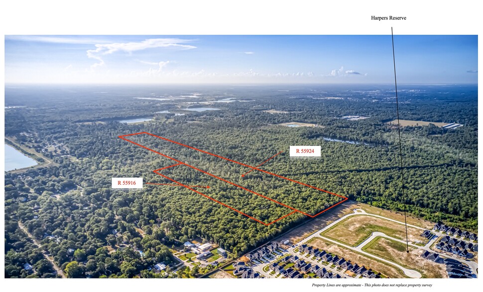 53.8 Acres off Hwy 242, Conroe, TX for sale - Building Photo - Image 3 of 6