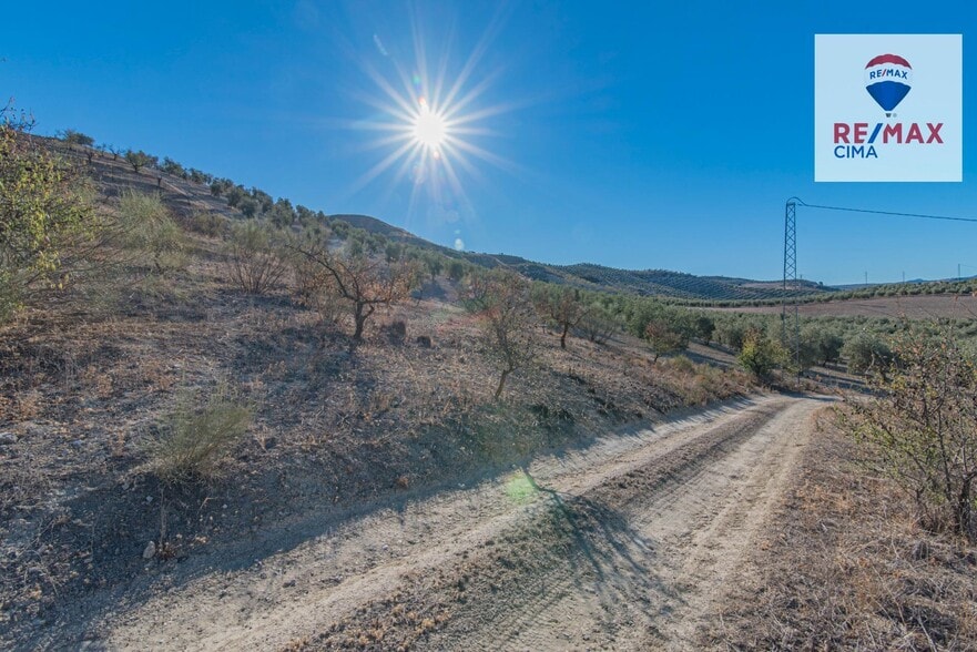 de Polígono Parcial, 2, Alhama de Granada, Granada for sale - Building Photo - Image 1 of 55