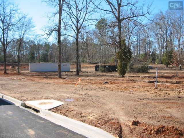 717 Chapin Rd, Chapin, SC for sale Construction Photo- Image 1 of 1