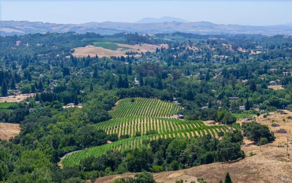 1250 Partrick Rd, Napa, CA for sale - Other - Image 1 of 8