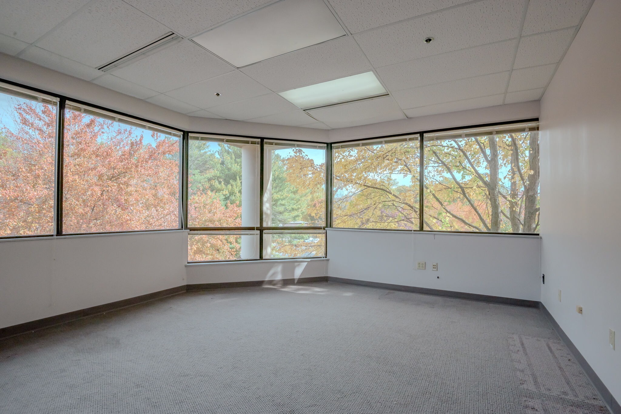 5307 Limestone Rd, Wilmington, DE for lease Interior Photo- Image 1 of 18