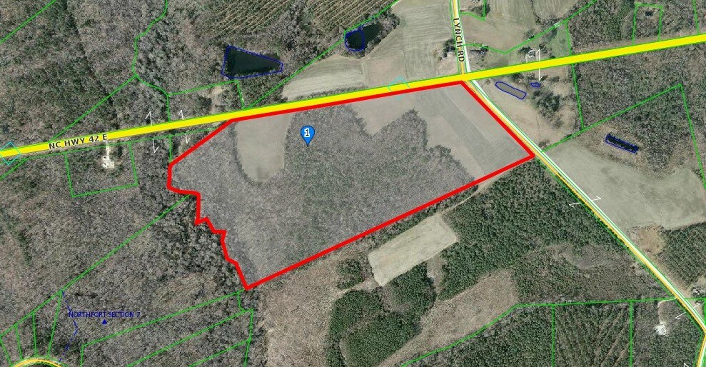 Corner Of Lynch Rd & Nc 42, Selma, NC 27576