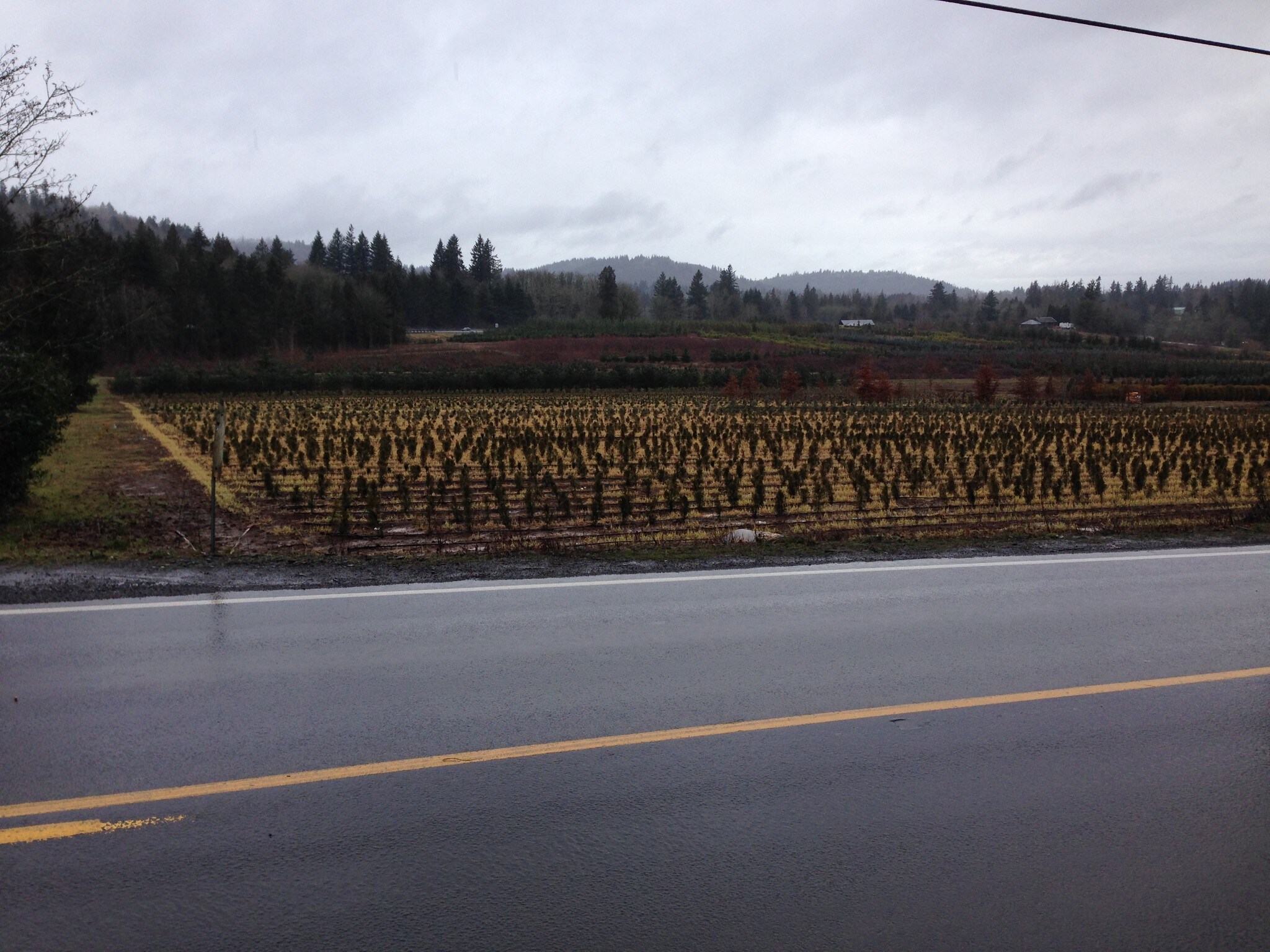 9001 SE 282nd Ave, Boring, OR for sale Building Photo- Image 1 of 1