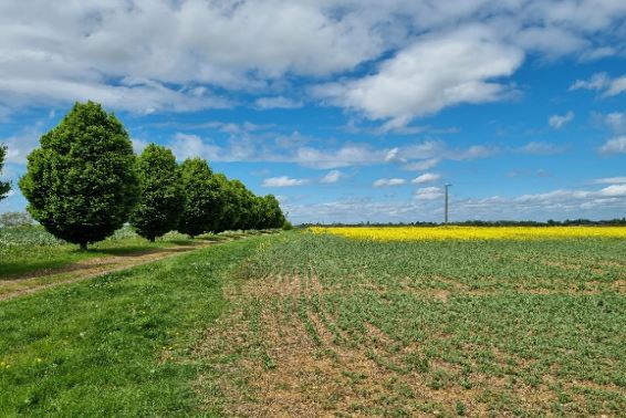Orlingbury Rd, Kettering for sale - Primary Photo - Image 1 of 1