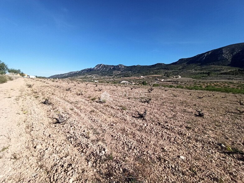 Land in Algueña for sale - Building Photo - Image 2 of 21