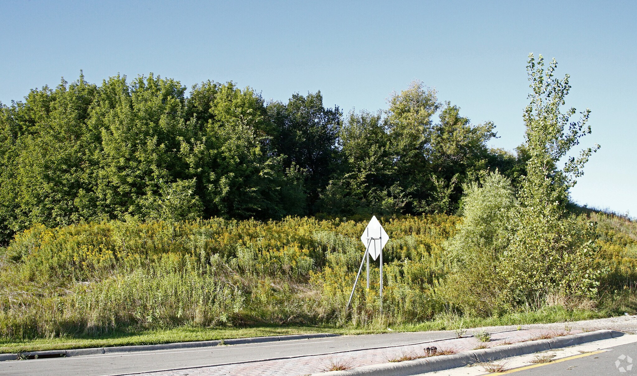 County Road 12, Medford, MN for sale Primary Photo- Image 1 of 1