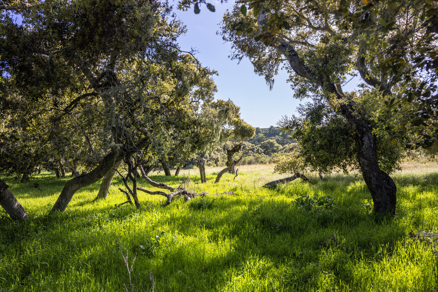 7855 Old Careaga Ranch Rd, Santa Maria, CA for sale - Other - Image 3 of 26