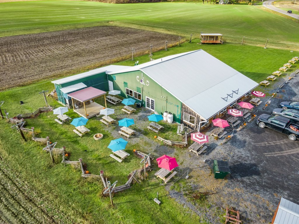 9632 State Route 96, Trumansburg, NY for sale Aerial- Image 1 of 1