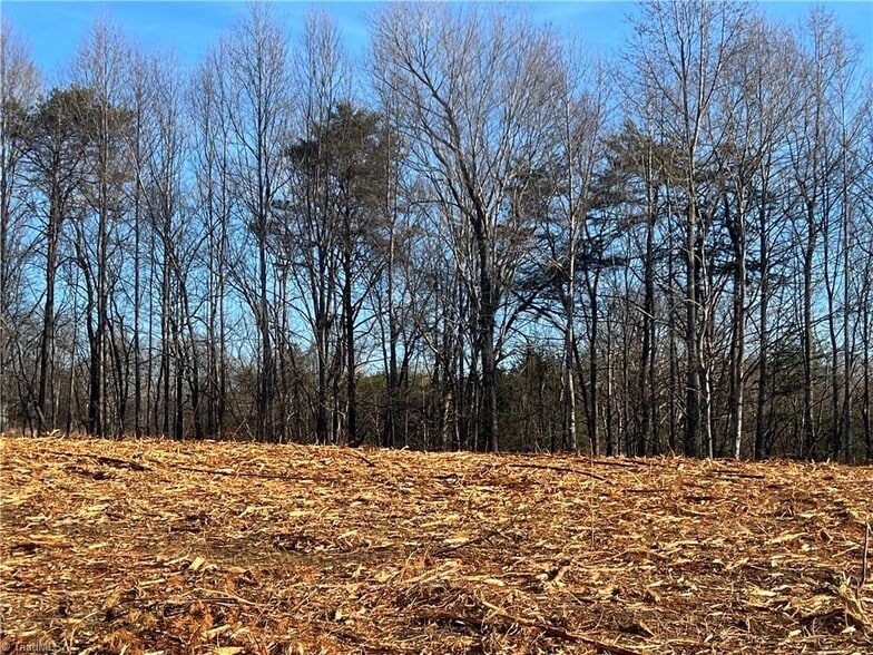 4432 W Pine St, Mount Airy, NC for sale - Other - Image 2 of 4