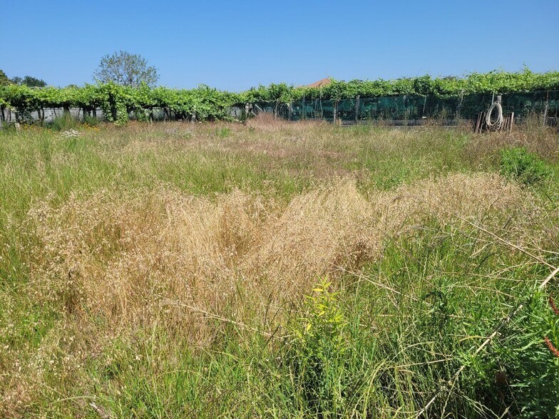 Land in Cambados, Pontevedra for sale - Site Plan - Image 3 of 9
