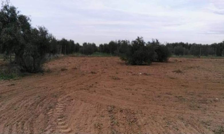 Land in Marchena for sale - Building Photo - Image 3 of 5