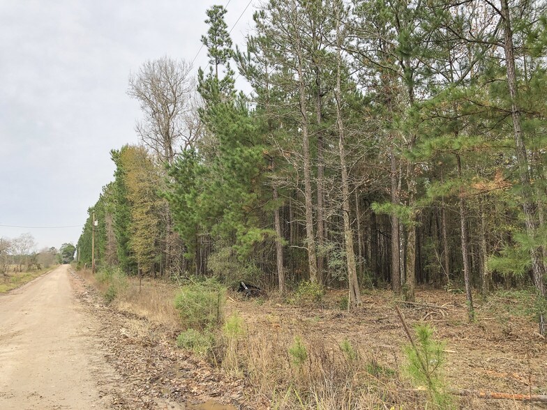 1 Spencer Rd, Groveton, TX 75845