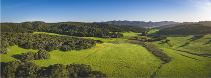 Price Canyon Rd, San Luis Obispo, CA - aerial  map view - Image1