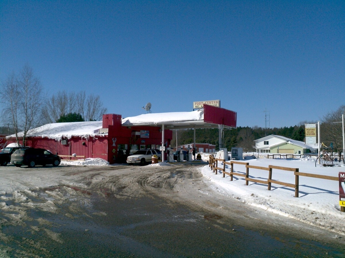 6117 E US Highway 10, Custer, MI 49405