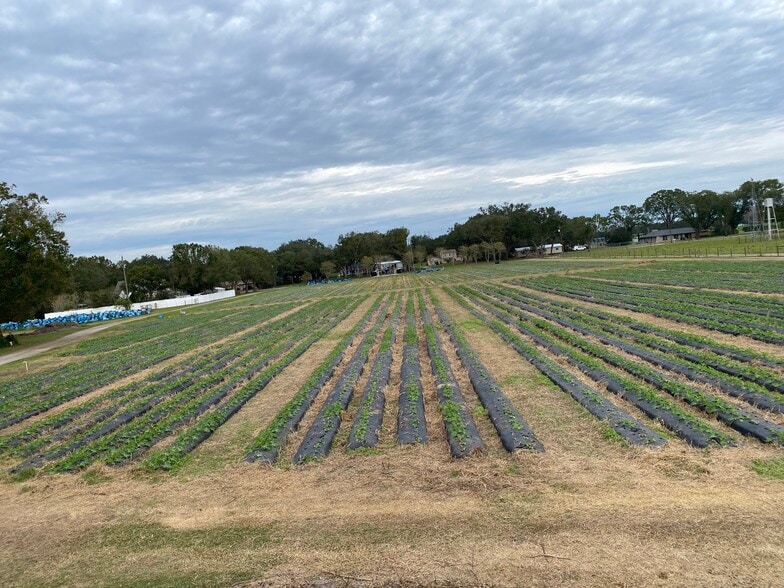 WO Farms portfolio of 2 properties for sale on LoopNet.com - Building Photo - Image 3 of 4