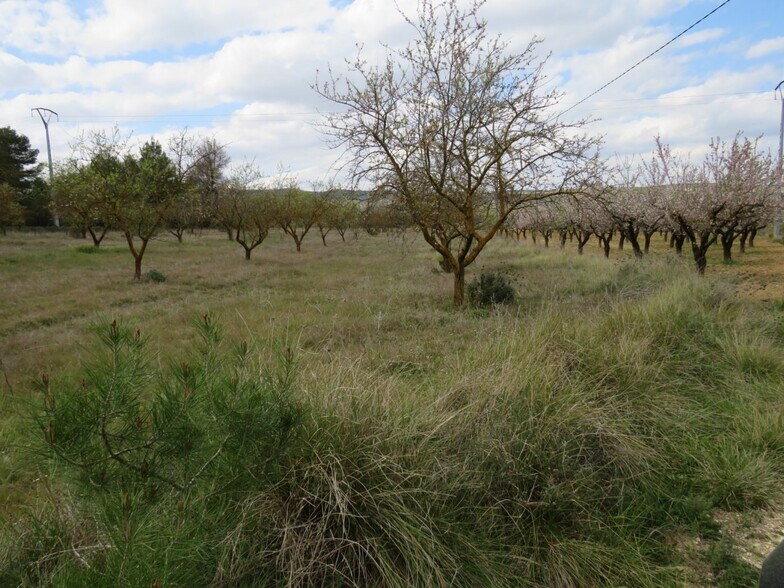 Land in Ontinyent, Valencia for sale - Building Photo - Image 2 of 9
