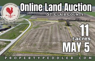 Online Auction 000 School View Dr, Marissa IL - Land