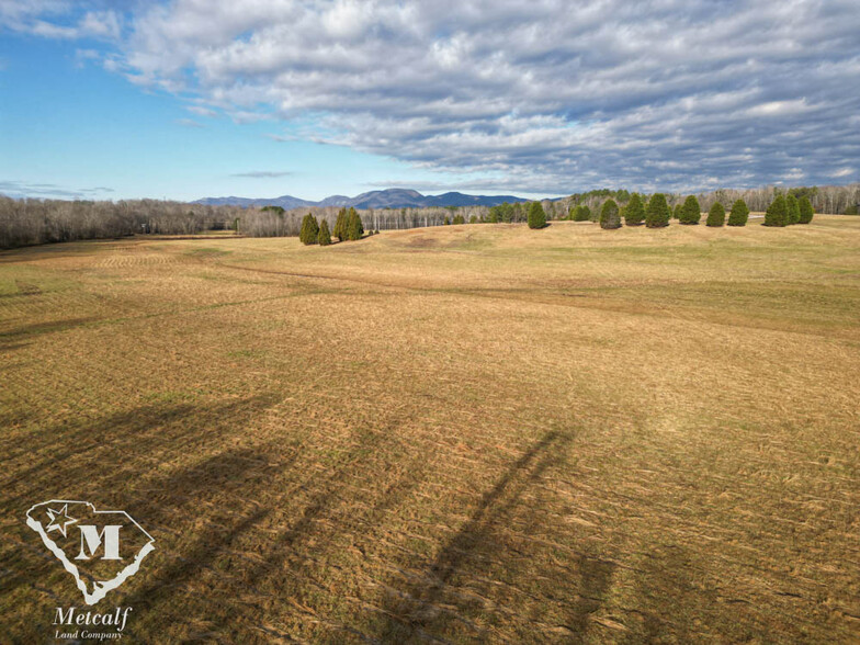 590 Bascule Ridge Ln, Campobello, SC for sale - Primary Photo - Image 1 of 1