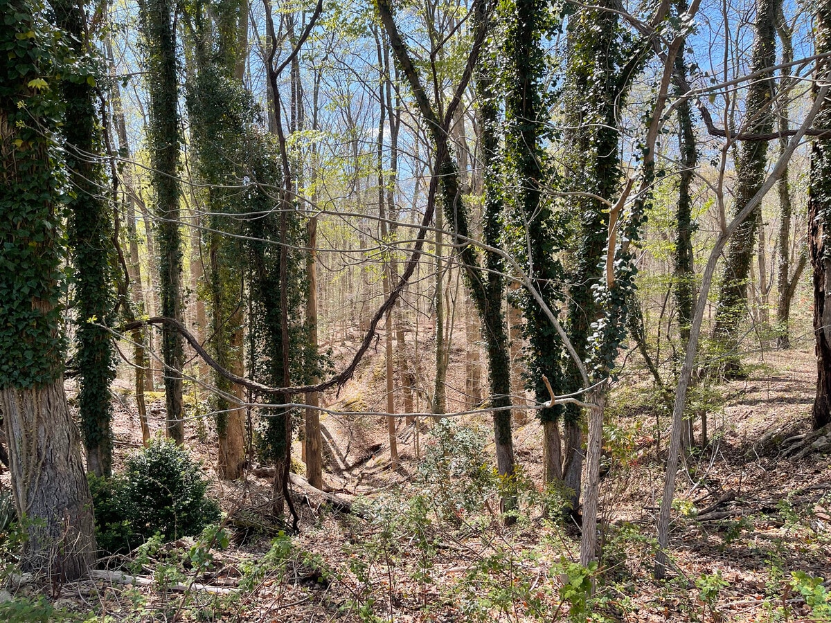 View Photo
