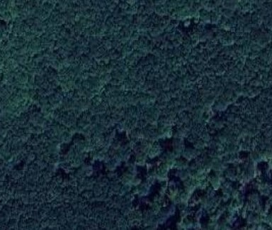 Fox and Robinson Rd, South Canaan, PA for sale - Primary Photo - Image 1 of 1