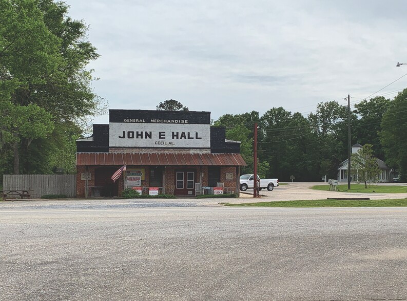 15668 Vaughn Rd, Cecil, AL for sale - Primary Photo - Image 1 of 1