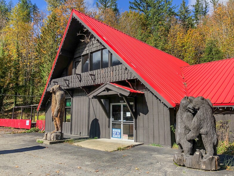 90000 NE Stevens Pass Hwy, Skykomish, WA 98288