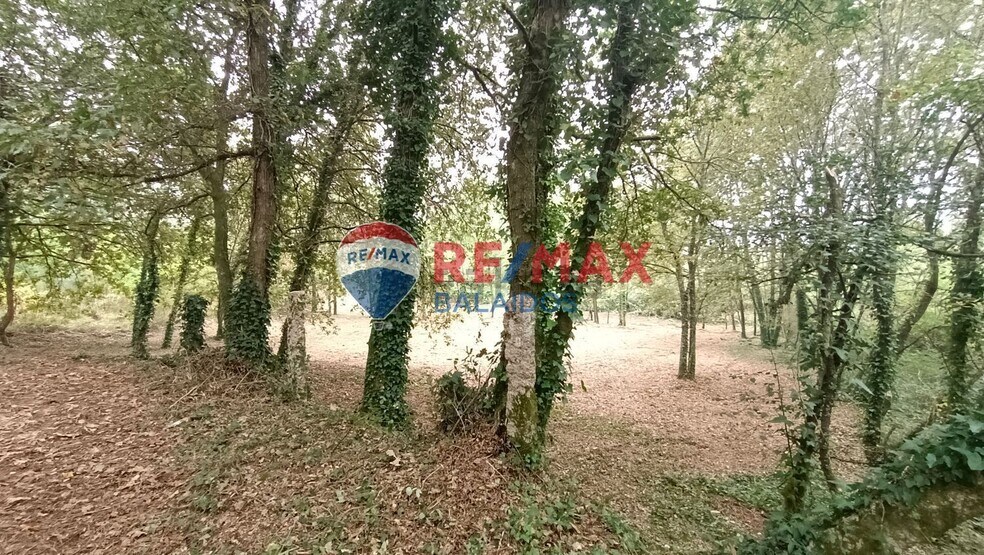 Land in O Porriño, Pontevedra for sale - Building Photo - Image 1 of 19