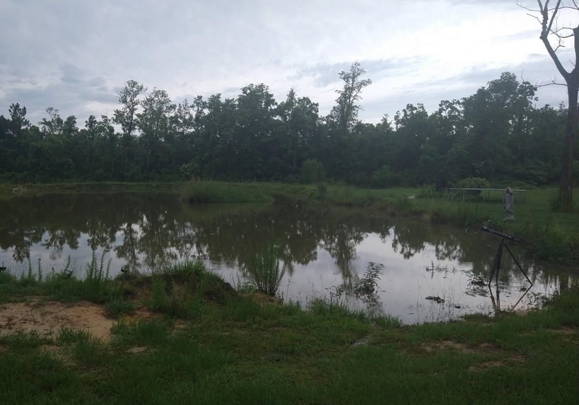 12821 County Road 97, Elberta, AL for sale - Building Photo - Image 2 of 2