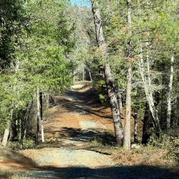 View Photo