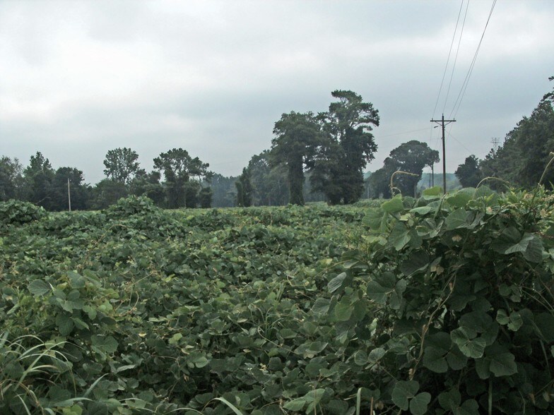 Sc-219 & Oxner Rd, Newberry, SC for sale - Building Photo - Image 1 of 1
