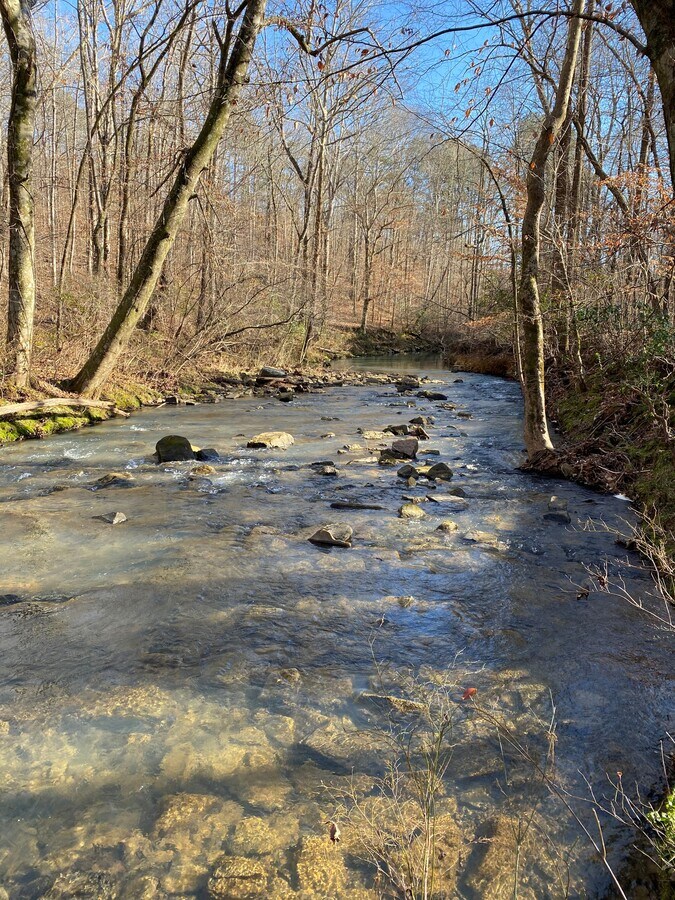 +/80 Acres On Highway 231, Steele, AL 35987