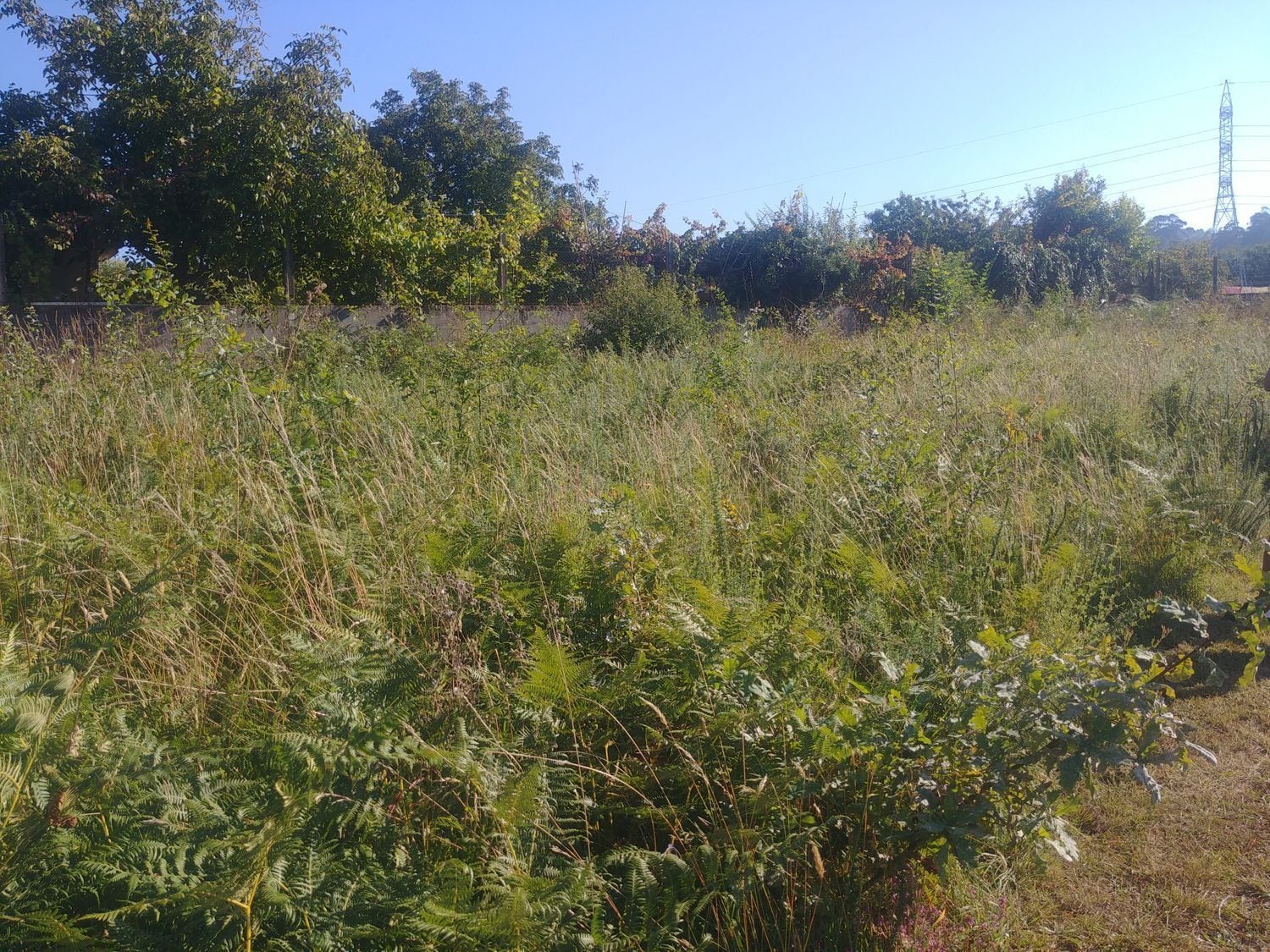 Land in Vigo, Pontevedra for sale Site Plan- Image 1 of 4