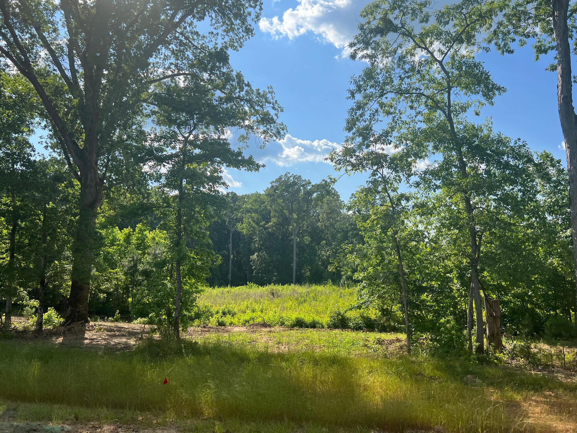 Lot 6 Commerce Drive Industrial Park park, Madison, GA for sale Primary Photo- Image 1 of 4