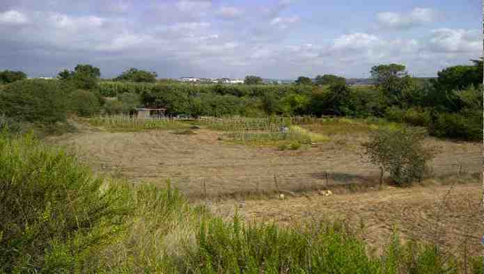 Land in Tarragona, Tarragona for sale - Building Photo - Image 2 of 5