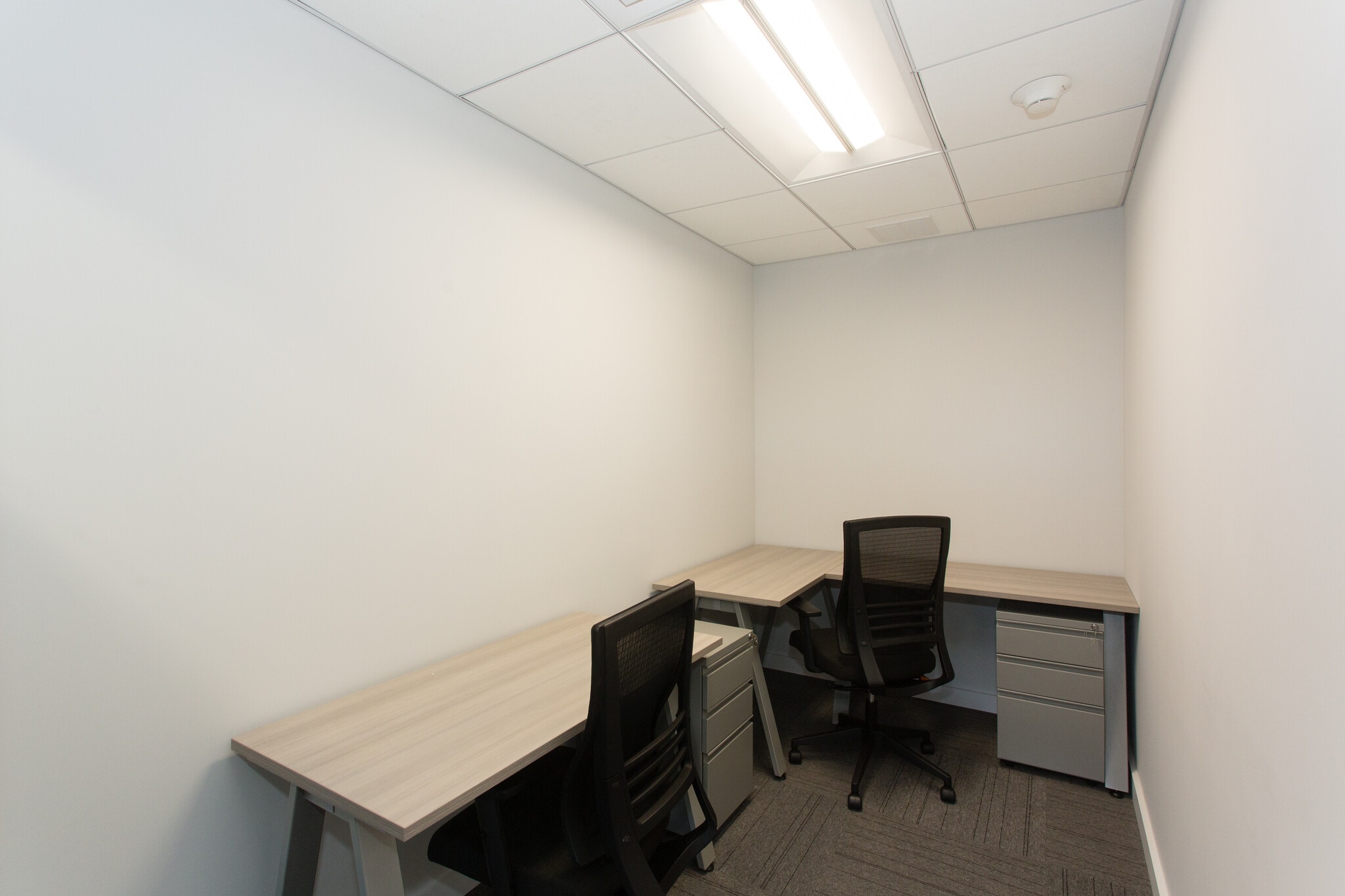 185 Great Neck Rd, Great Neck, NY for lease Interior Photo- Image 1 of 1