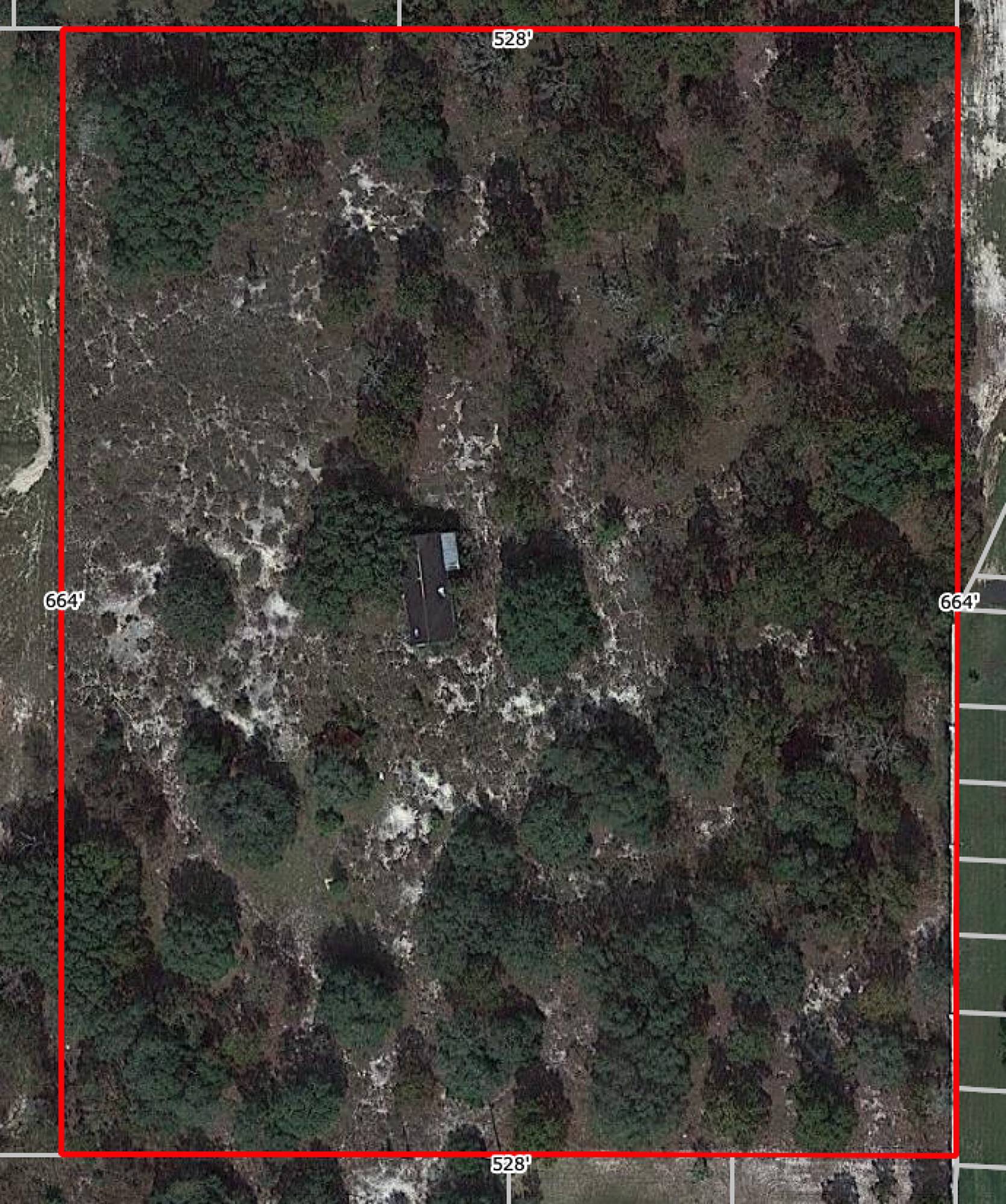 393 Royal Palm Way, Spring Hill, FL for sale Primary Photo- Image 1 of 1