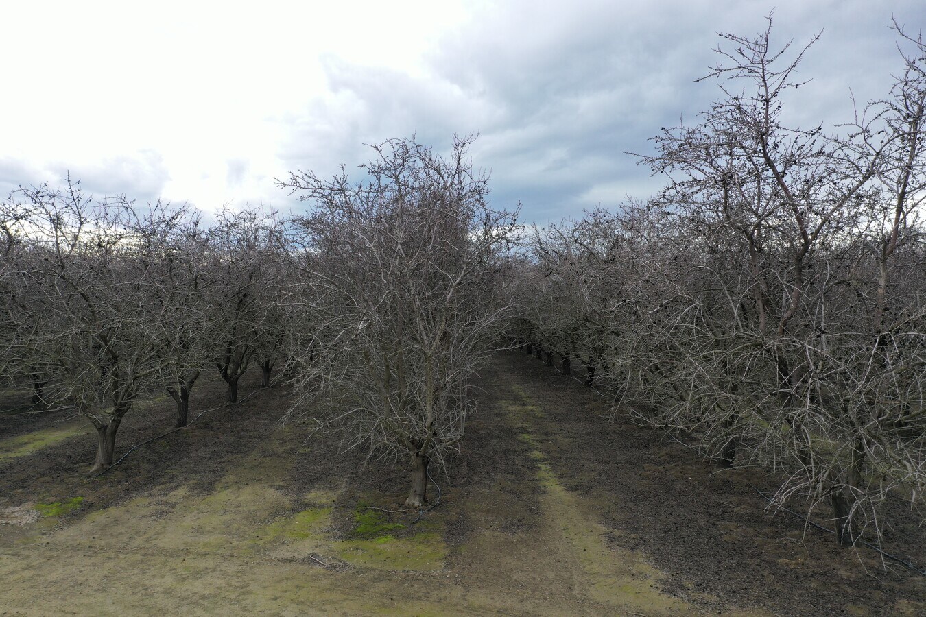 Omaha Ave & 30th Ave, Kettleman City, CA 93239