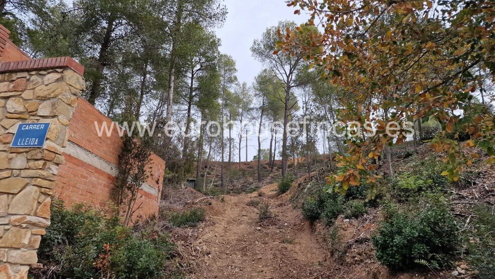 Urbanizacion Can Ros Zona 3, 190BI, Can Ros, Barcelona for sale - Other - Image 2 of 4