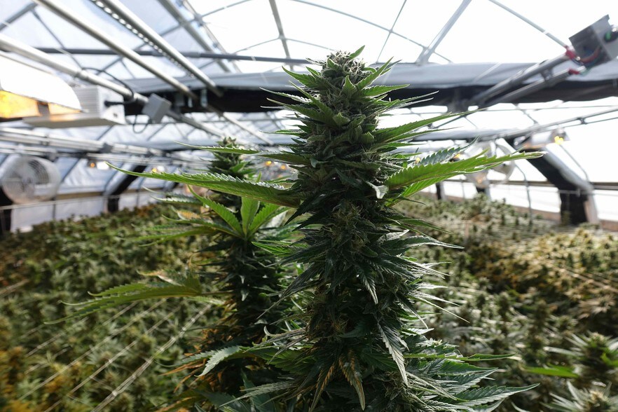 210 Triple K Pl, Fortuna, CA for sale - Other - Image 1 of 1