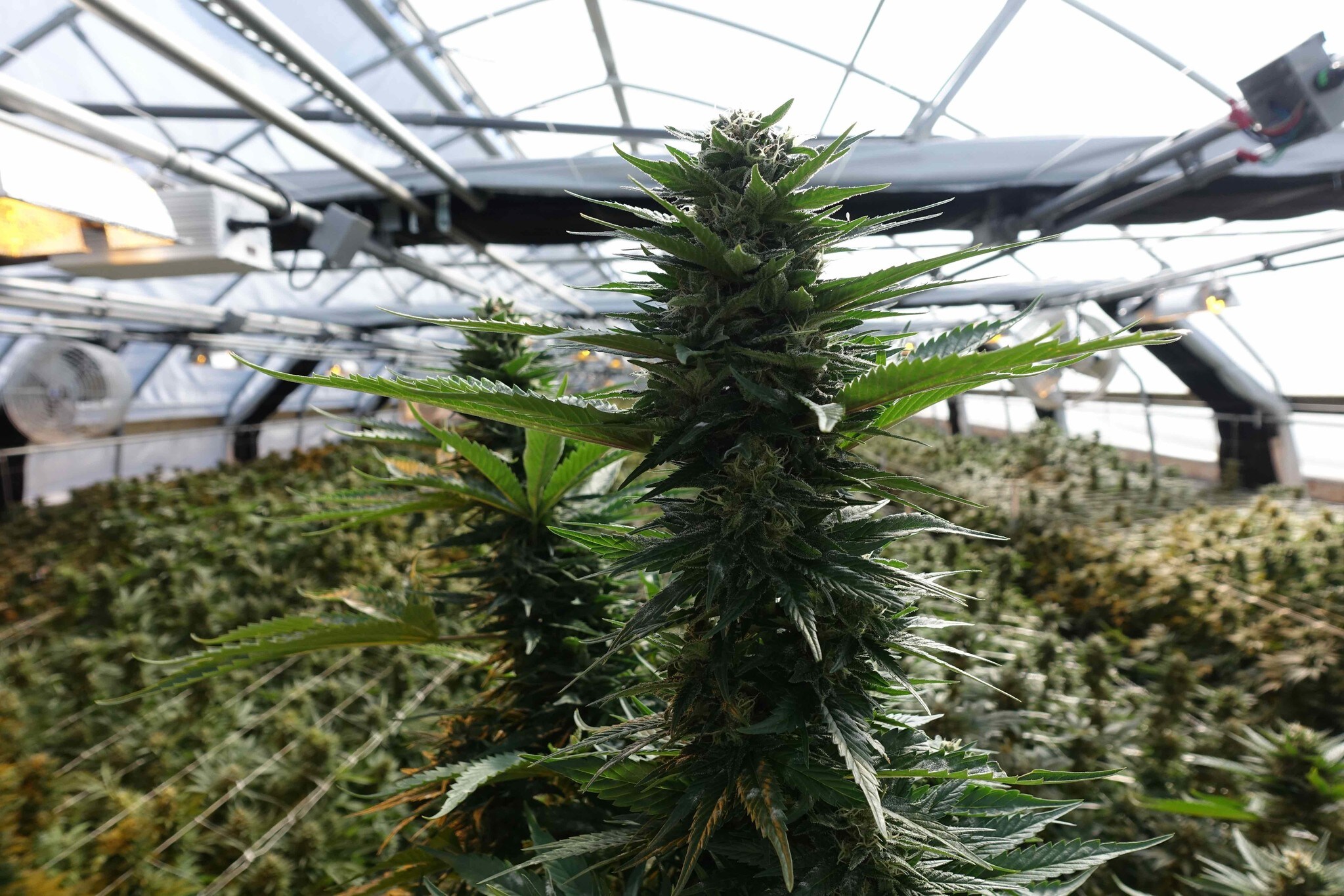 210 Triple K Pl, Fortuna, CA for sale Other- Image 1 of 1