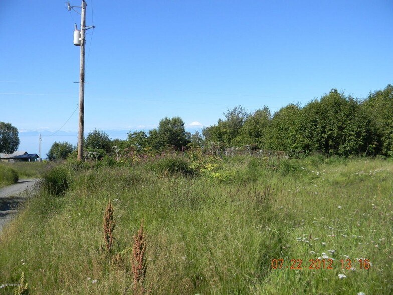 16895 Dilligara Ln, Clam Gulch, AK for sale - Primary Photo - Image 1 of 1