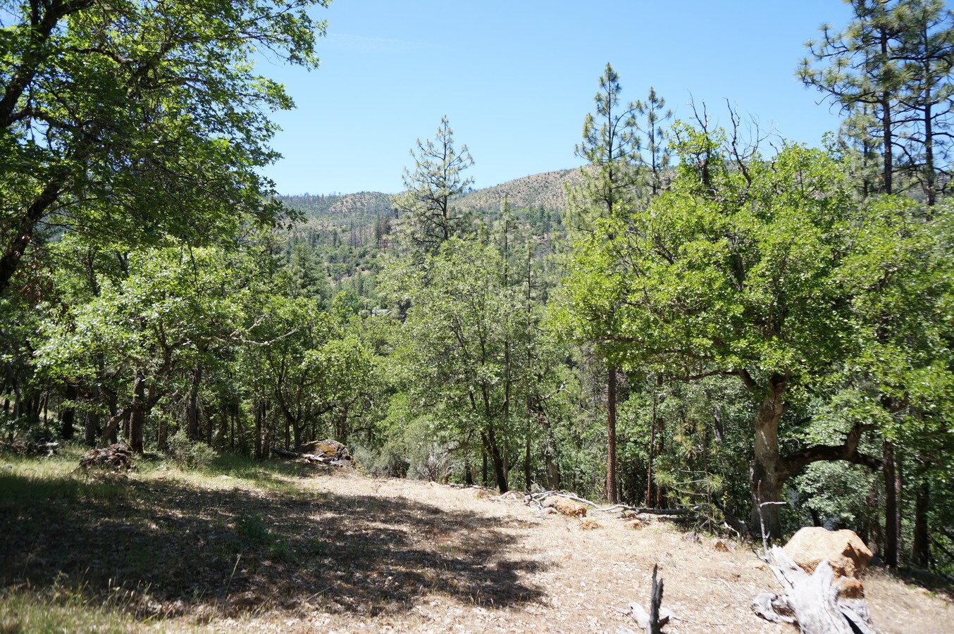 0 Klamath River Rd, Klamath River, CA 96050