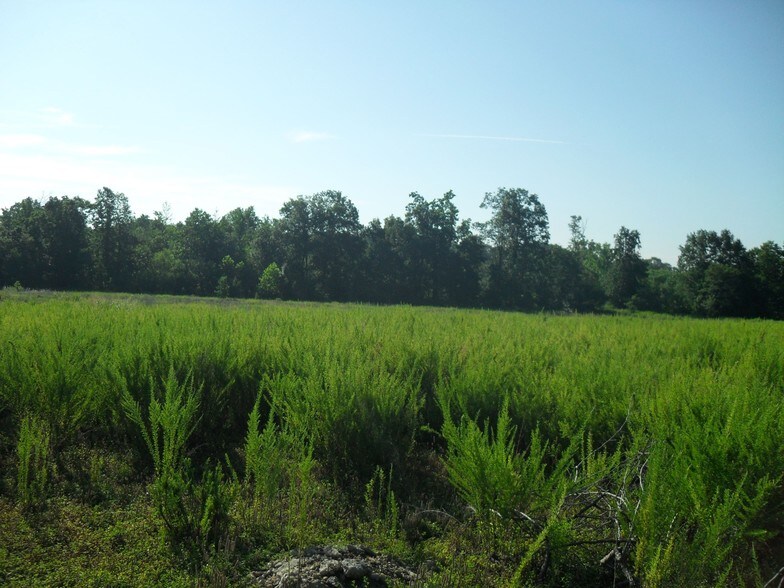 150 Cool Spring Rd, Fredericksburg, VA for sale - Building Photo - Image 1 of 1