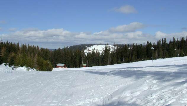 79327 Highway 204, Weston, OR for sale - Primary Photo - Image 1 of 1